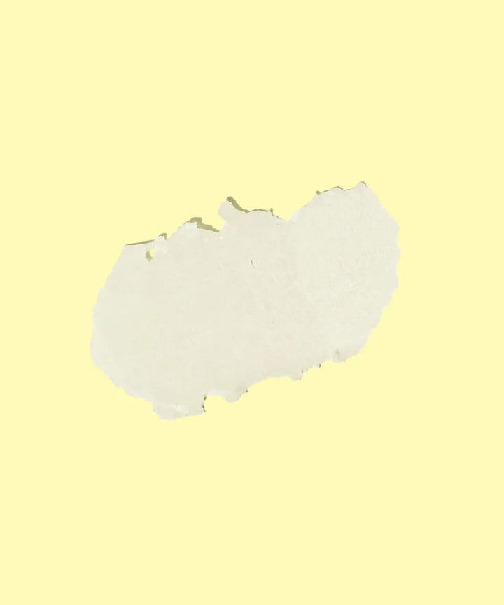 Sun Bum - Balsamo Labial SPF 30 - Banana
