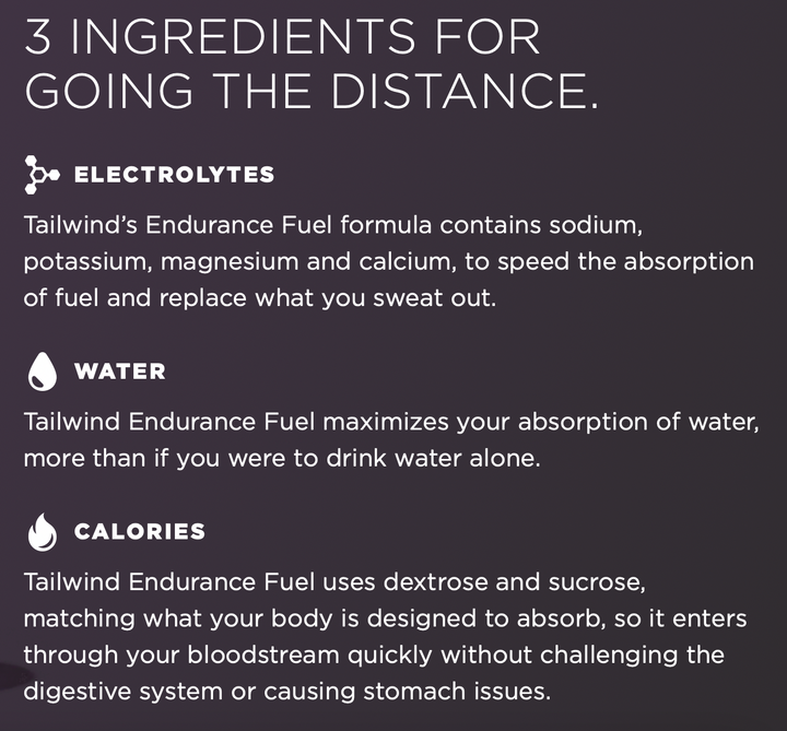 Tailwind Endurance Fuel - Berry (50 Porciones)