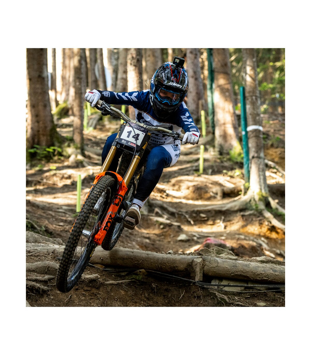 Fatbar V3 35 800x30mm - Gold