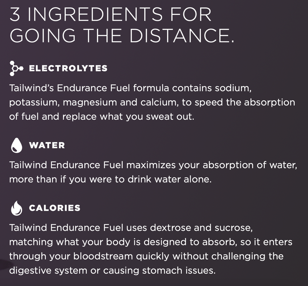 Tailwind Endurance Fuel - Mandarina (Porción Individual)