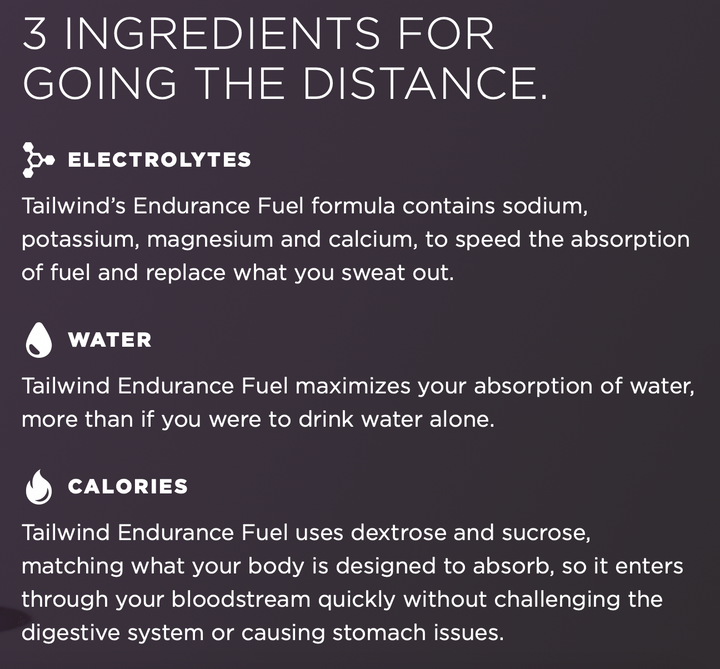 Tailwind Endurance Fuel - Mandarina (Porción Individual)