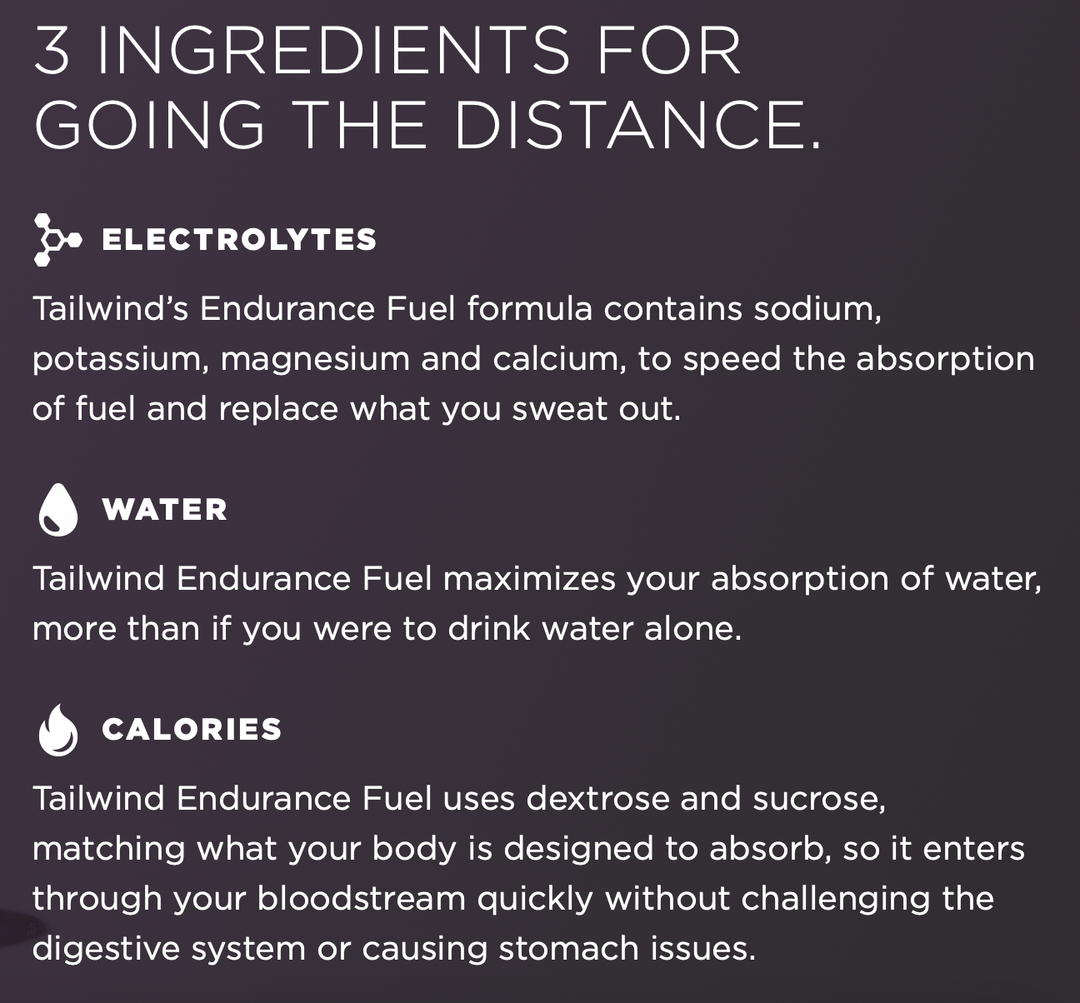 Tailwind Endurance Fuel - Berry (30 Porciones)